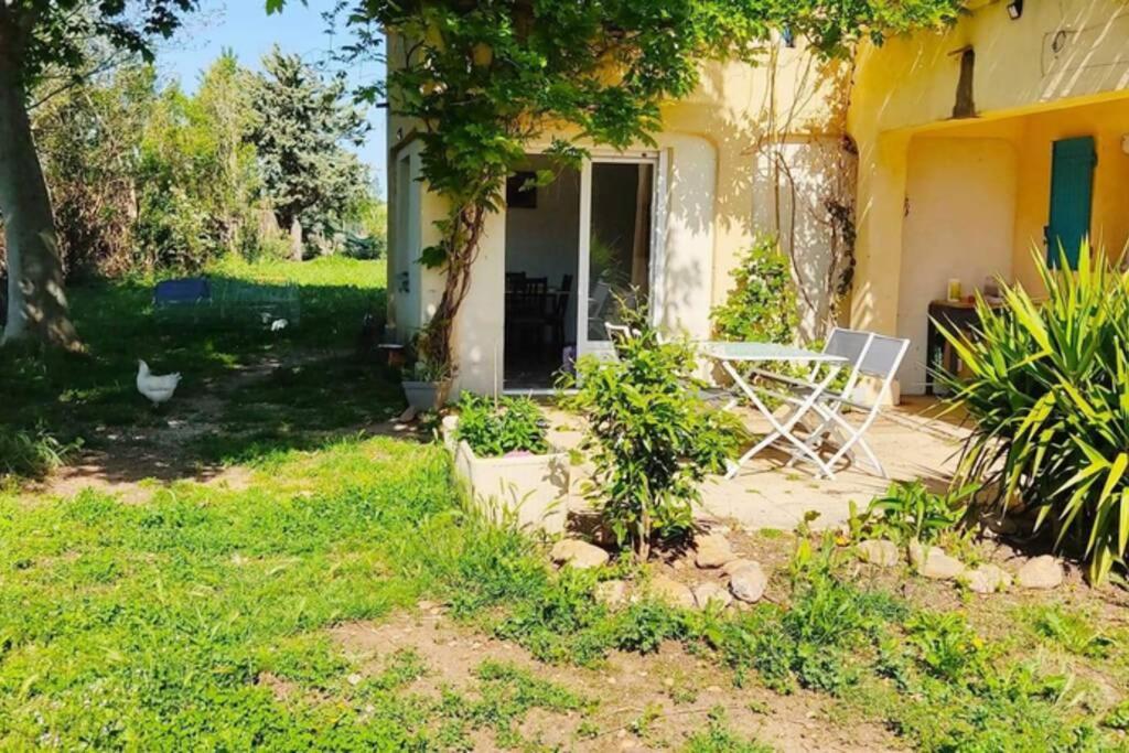 Offrez-Vous Un Sejour Dans Notre Gite A Entressen Une Grande Piscine Pour Se Rafraichir ,Un Espace De Jeux Pour Enfants Pour Des Heures De Divertissement Un Terrain De Petanque Pour Des Parties Endiablees Zewnętrze zdjęcie